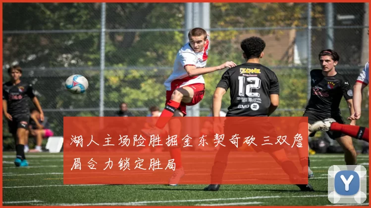 湖人主场险胜掘金东契奇砍三双詹眉合力锁定胜局