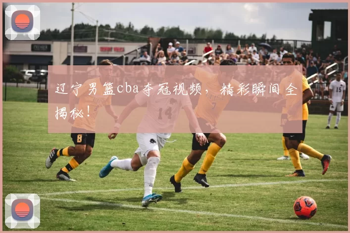 辽宁男篮cba夺冠视频,精彩瞬间全揭秘!