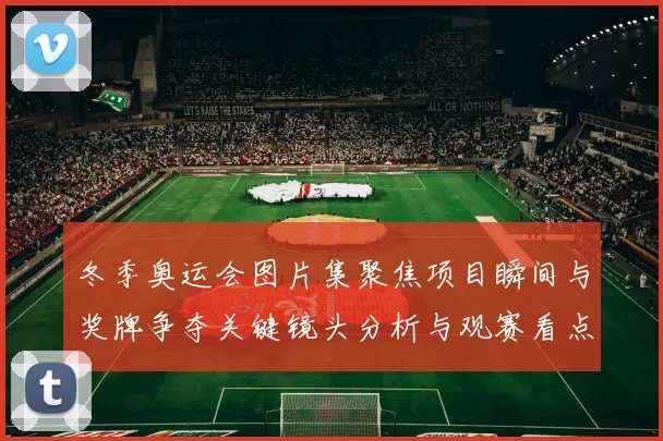 冬季奥运会图片集聚焦项目瞬间与奖牌争夺关键镜头分析与观赛看点